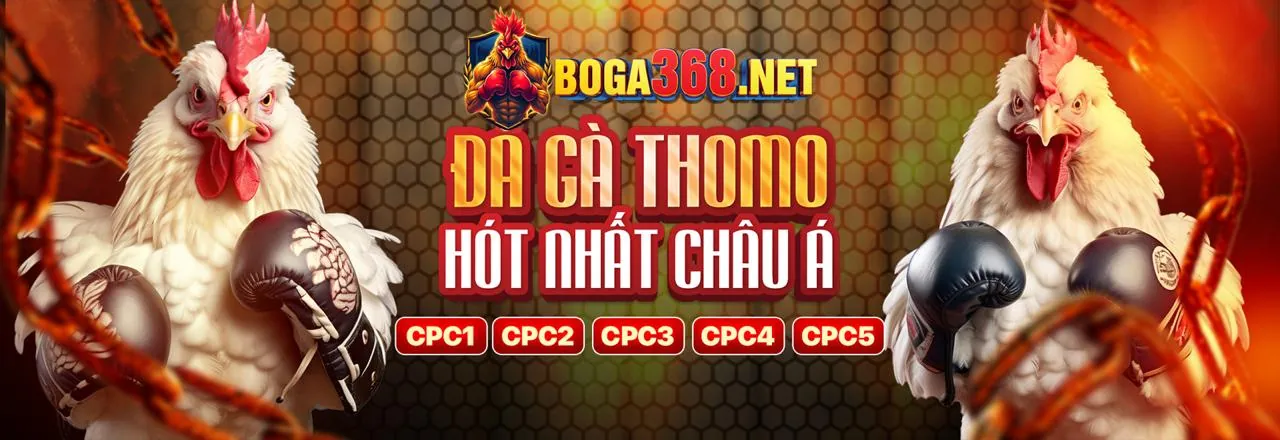 Dịch vụ hỗ trợ khách hàng chuyên nghiệp của qq888